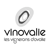 Vinovalie